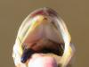 post-6984-130163016292_thumb.jpg