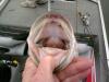 post-6984-130163016362_thumb.jpg