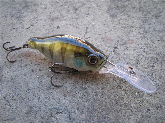 What's your favorite Bluegill crank bait for Bass? - Fishing Tackle - Bass  Fishing Forums