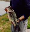 post-7680-130163006153_thumb.gif
