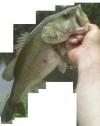 post-9676-130162942942_thumb.jpg