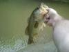 post-9676-130162942956_thumb.jpg