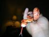 post-9676-130162955697_thumb.jpg