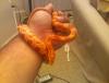 post-9676-130162959584_thumb.jpg