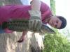 post-9676-130162971253_thumb.jpg