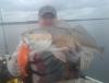 post-17052-0-76473800-1428845779_thumb.j
