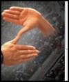 post-52907-0-27366800-1427913346_thumb.j