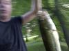 post-23658-0-50929200-1305164253_thumb.j