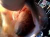 post-31856-0-94687000-1338076218_thumb.j