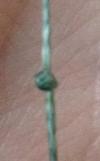 post-43365-0-09209900-1401052348_thumb.j