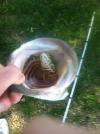 post-43688-0-97909500-1399249362_thumb.j