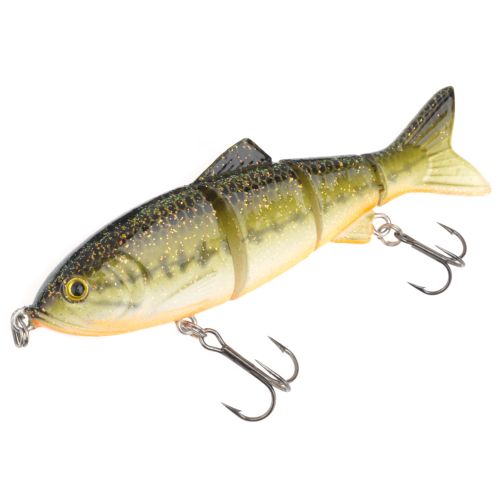 Are Shad Baitfish In This Lake? - General Bass Fishing Forum