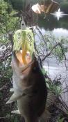post-50738-0-48048800-1431994483_thumb.j