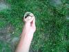 post-54267-0-71485800-1433096170_thumb.j