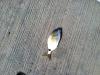 post-30629-0-71141900-1340734338_thumb.j