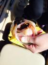 post-38225-0-11112100-1402505205_thumb.j