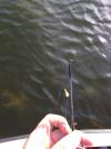 post-47722-0-05732200-1402793286_thumb.j