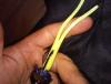 post-54142-0-71718300-1434954986_thumb.j