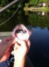 post-27975-0-68539000-1404531357_thumb.j