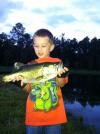 post-36707-0-03015800-1405346867_thumb.j