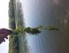 post-48040-0-25781400-1436656400_thumb.j