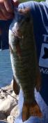 post-50912-0-37757600-1438057343_thumb.j