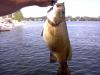 post-28130-0-42431200-1313668222_thumb.j