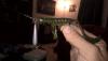 post-50560-0-62822700-1440808944_thumb.j