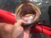 post-53667-0-12122100-1440888236_thumb.j