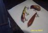 post-29941-0-31829500-1379976492_thumb.j