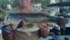 post-50456-0-13792500-1410120368_thumb.j
