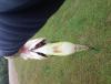 post-41020-0-93361500-1442893287_thumb.j