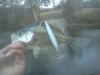 post-45982-0-53992600-1414034140_thumb.j