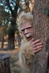 Sasquatch Lurking .jpg