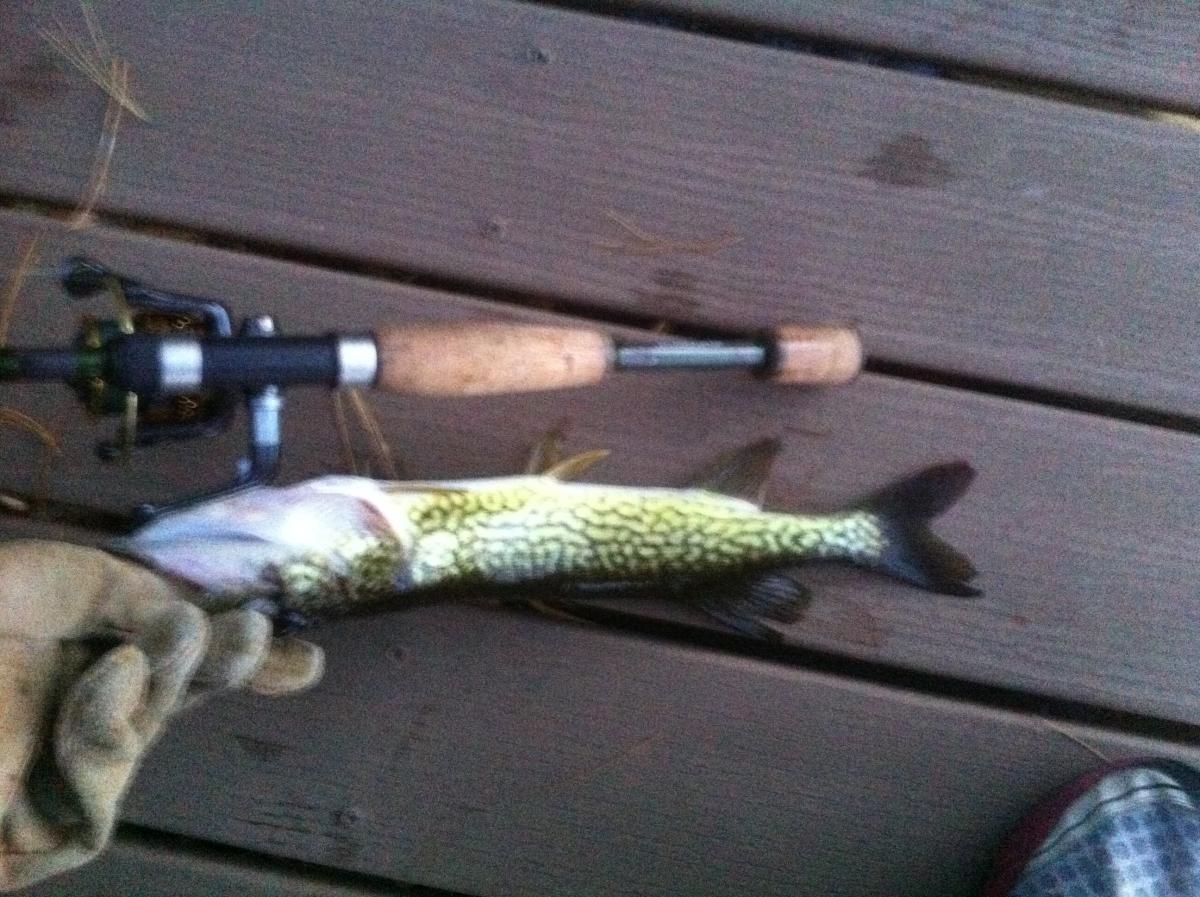 BFS Lures? - Fishing Tackle - Bass Fishing Forums