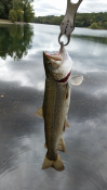 post-56562-0-33046100-1445046164_thumb.p