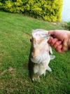 post-36381-0-80880300-1353940452_thumb.j