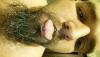 post-30345-0-33094600-1416644131_thumb.j