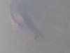 post-30513-0-65073100-1447289966_thumb.j