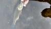 post-47245-0-07530200-1446986047_thumb.j