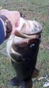 post-18019-0-90879100-1417537366_thumb.j