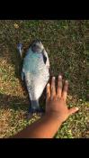 post-38073-0-17246900-1419189226_thumb.j