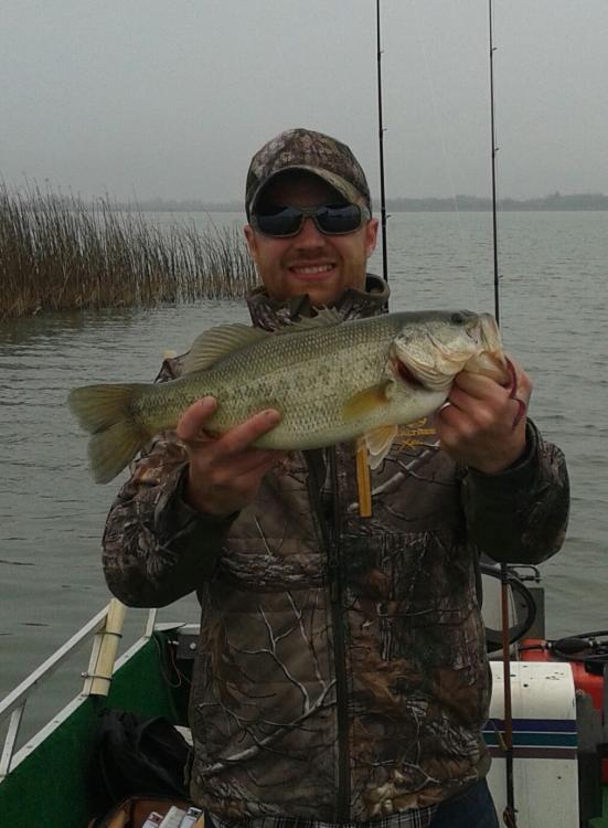 20150221_121557-1.thumb.jpg.92ffab1ee622