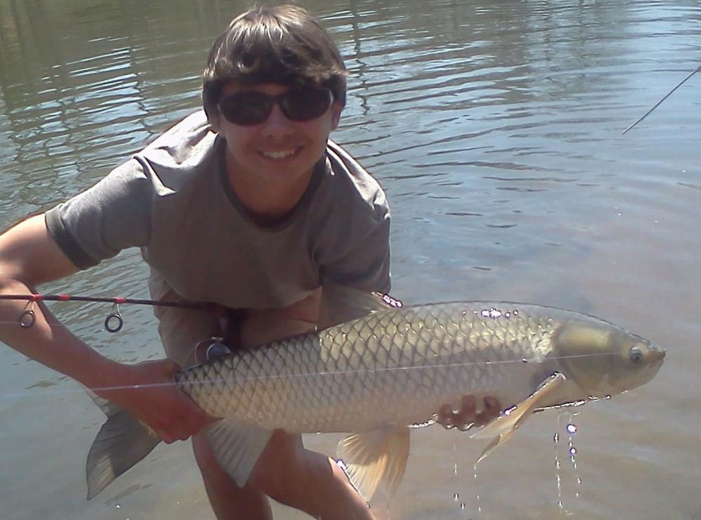 567f76a32ee1c_WatercrestCarp.thumb.jpg.d