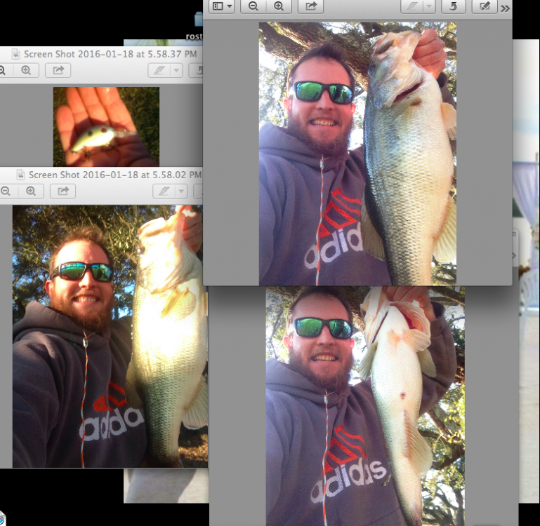 1.18bass.png