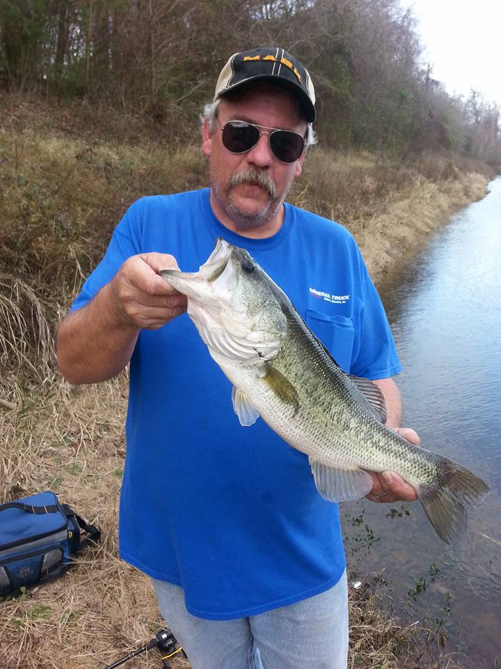 To All My Memphis Pond Hoppers! - Page 23 - Southeast Bass Fishing - Bass  Fishing Forums