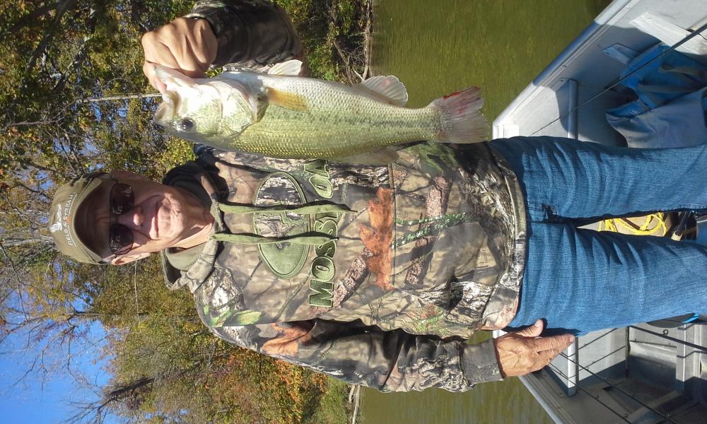 20151010_120550.thumb.jpg.8a026dde01e332