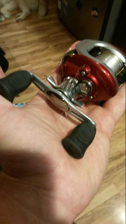 20151029_175000.jpeg