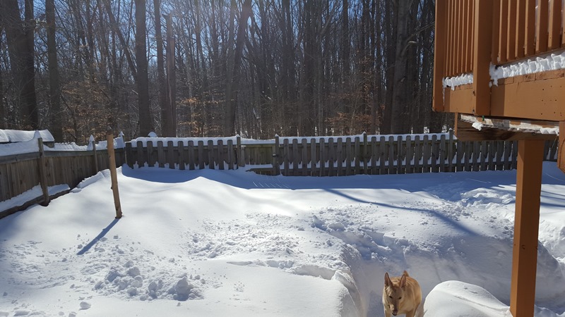 20160124_113912.jpg.ffe5d54dd93d51bfc430