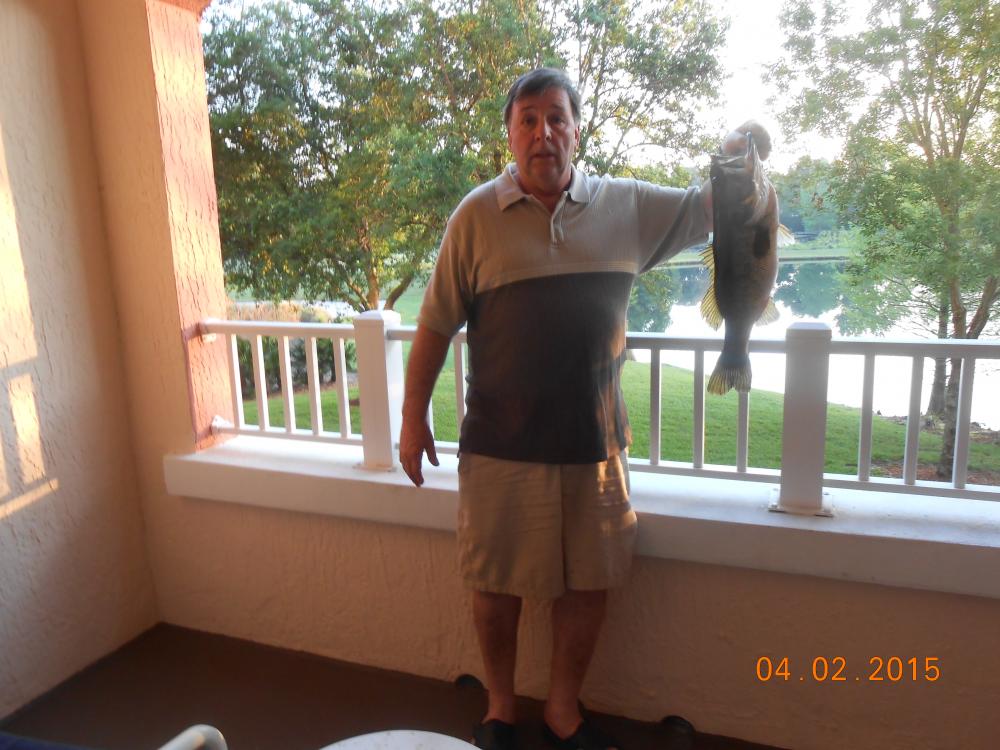 austin july 2015 fishing 015.JPG